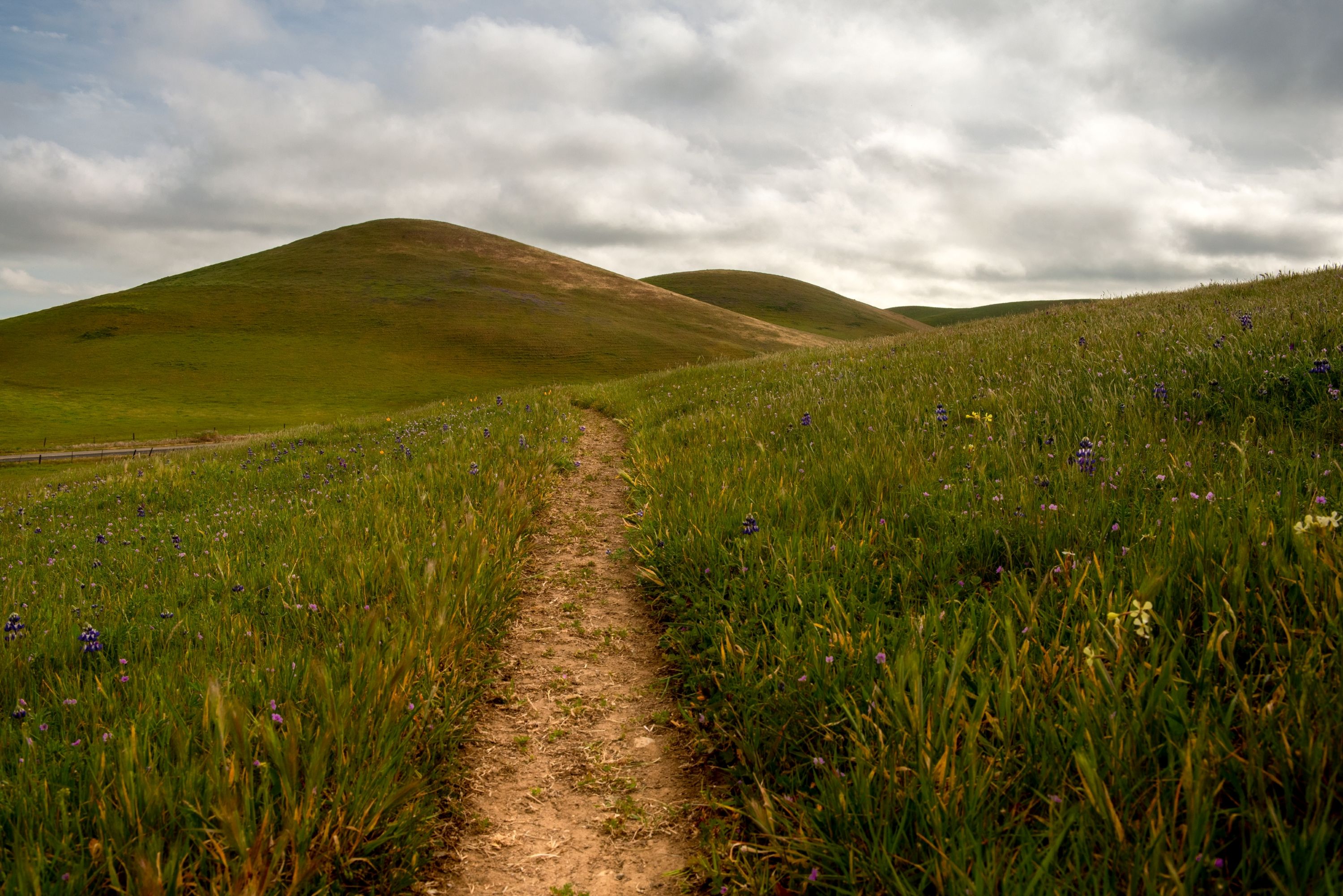 Fairfield, CA